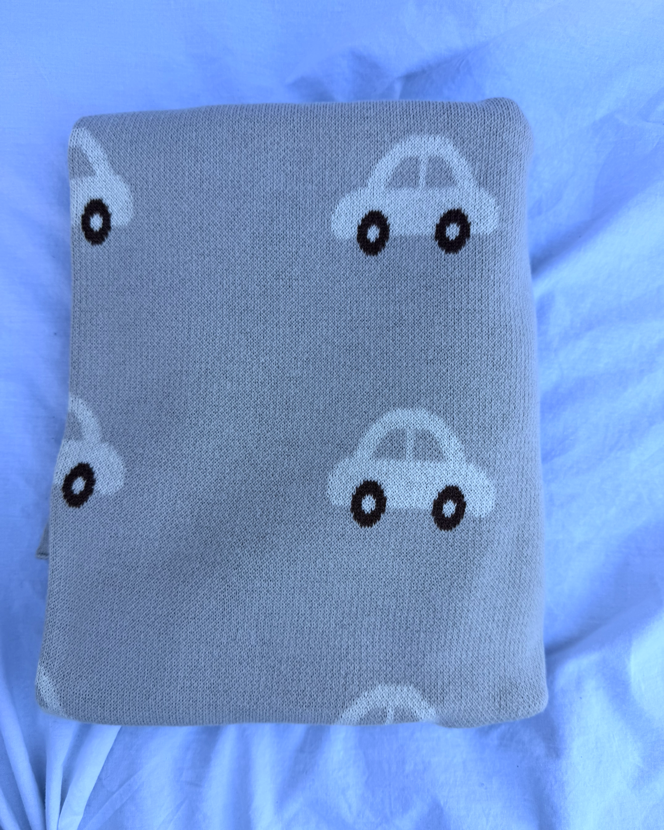 Car Baby Blanket