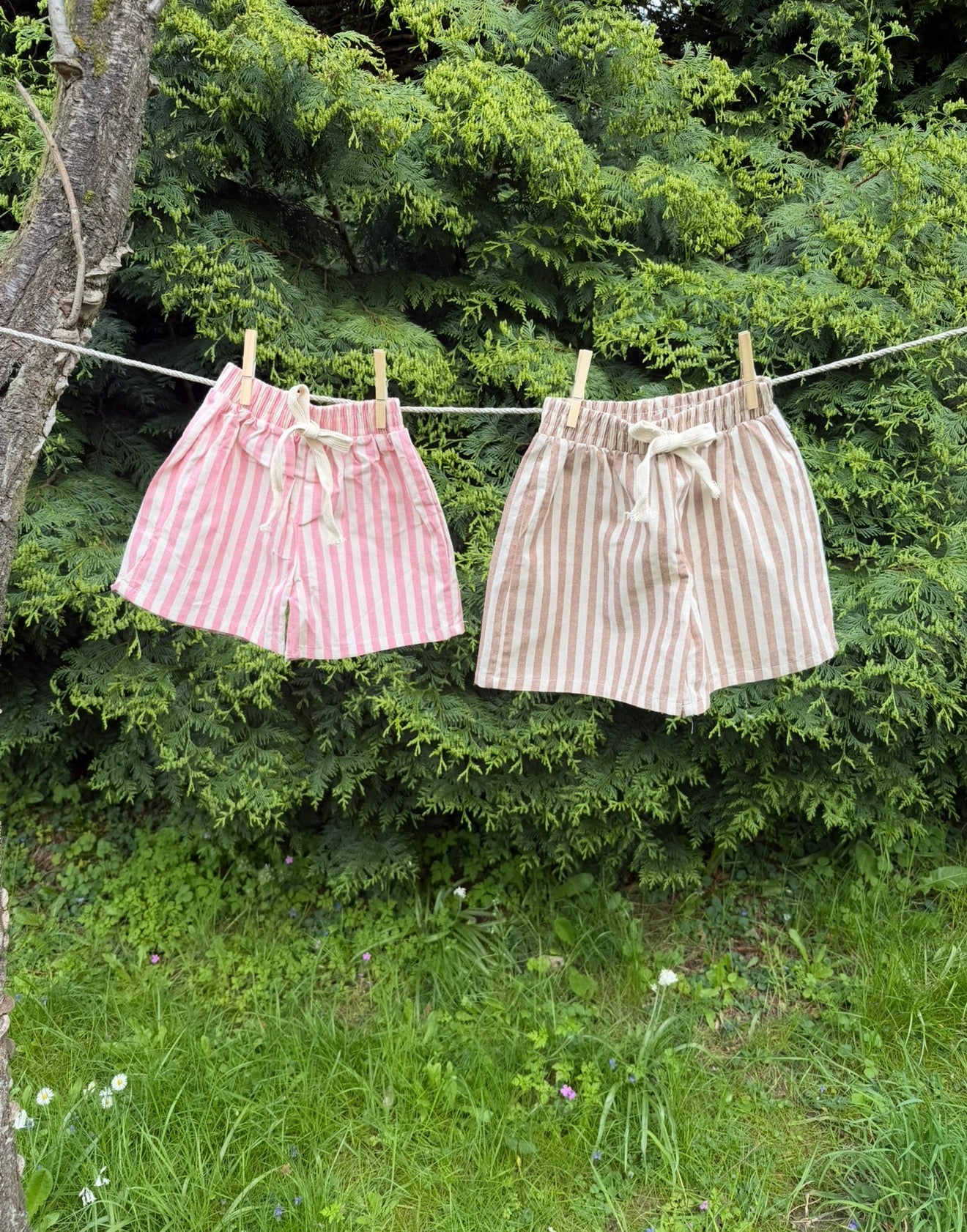 The Striped Short