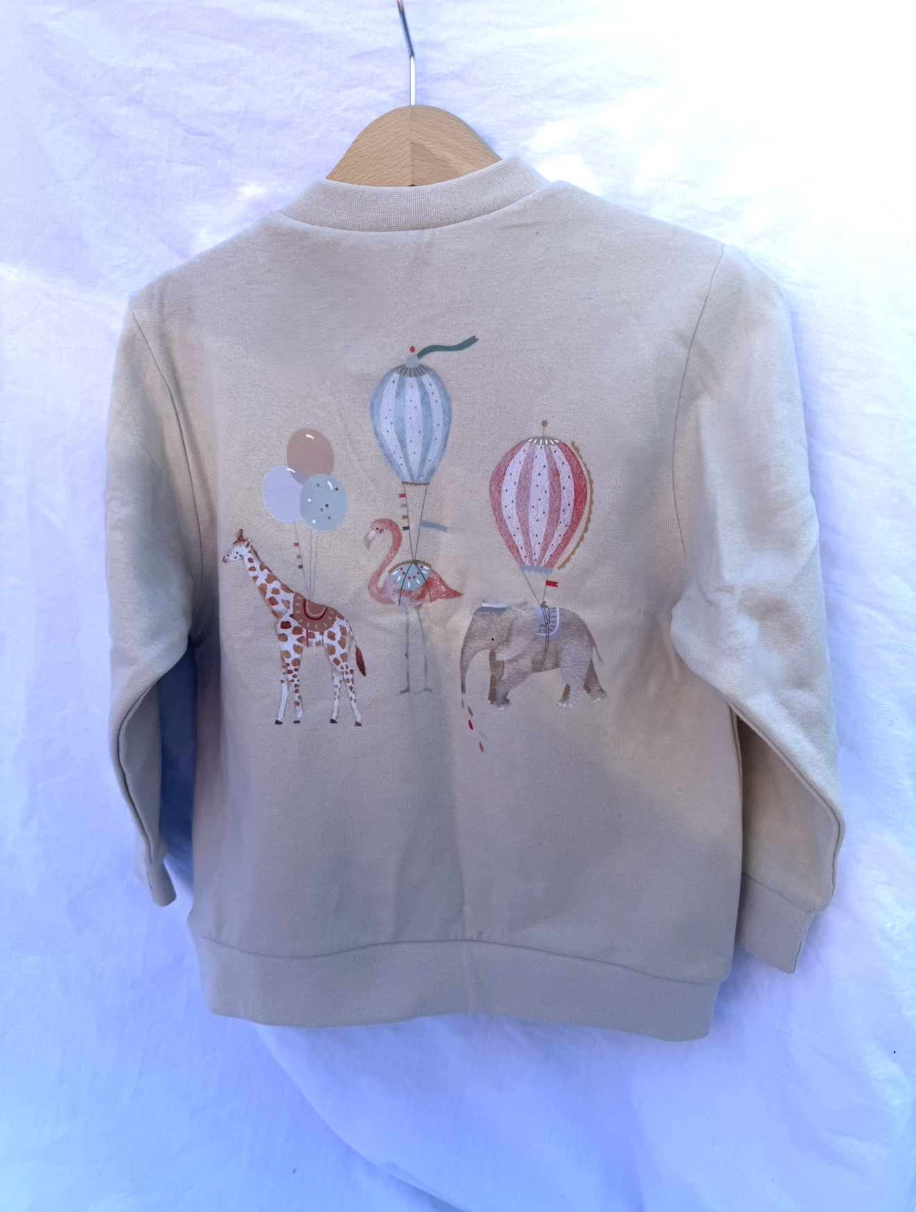 Casual Sweatshirt - Circus Animals