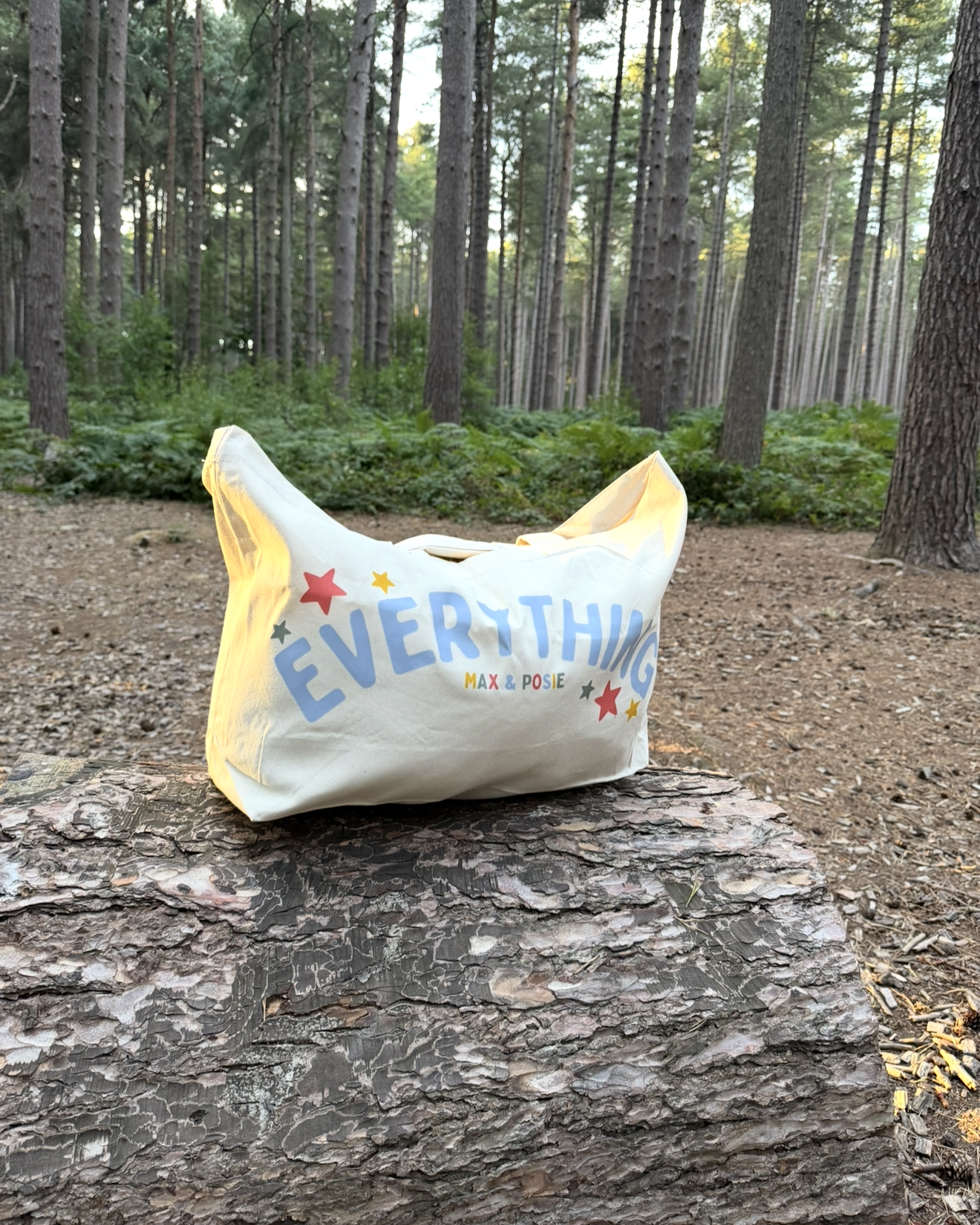 The Everything Tote Bag