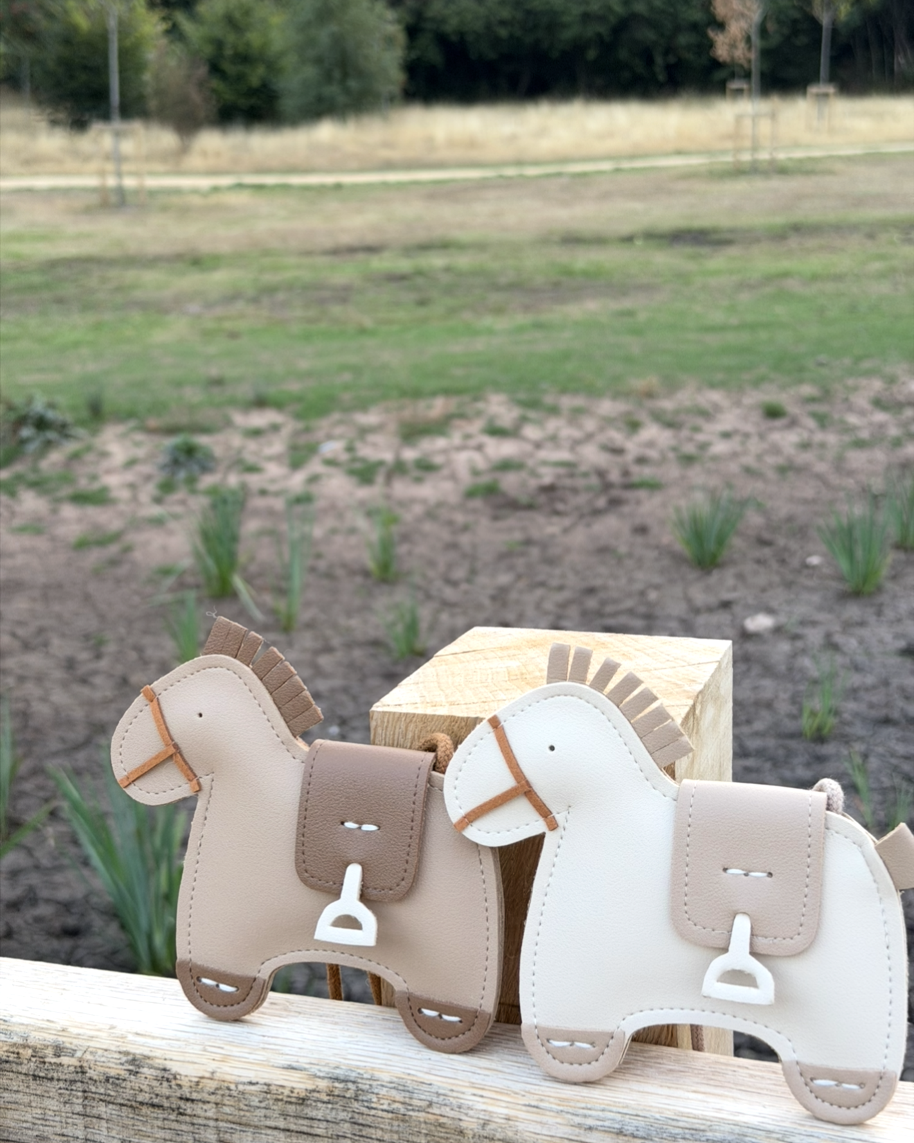 The Pony Bag
