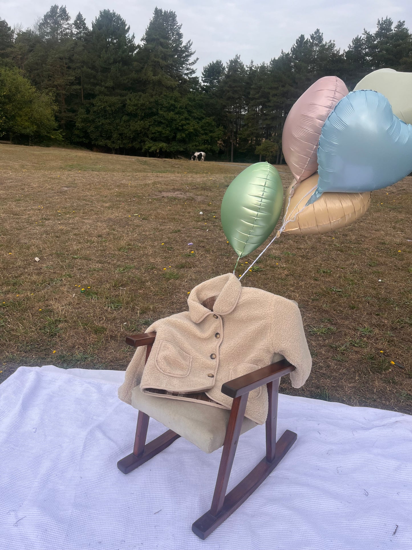 The Teddy Jacket